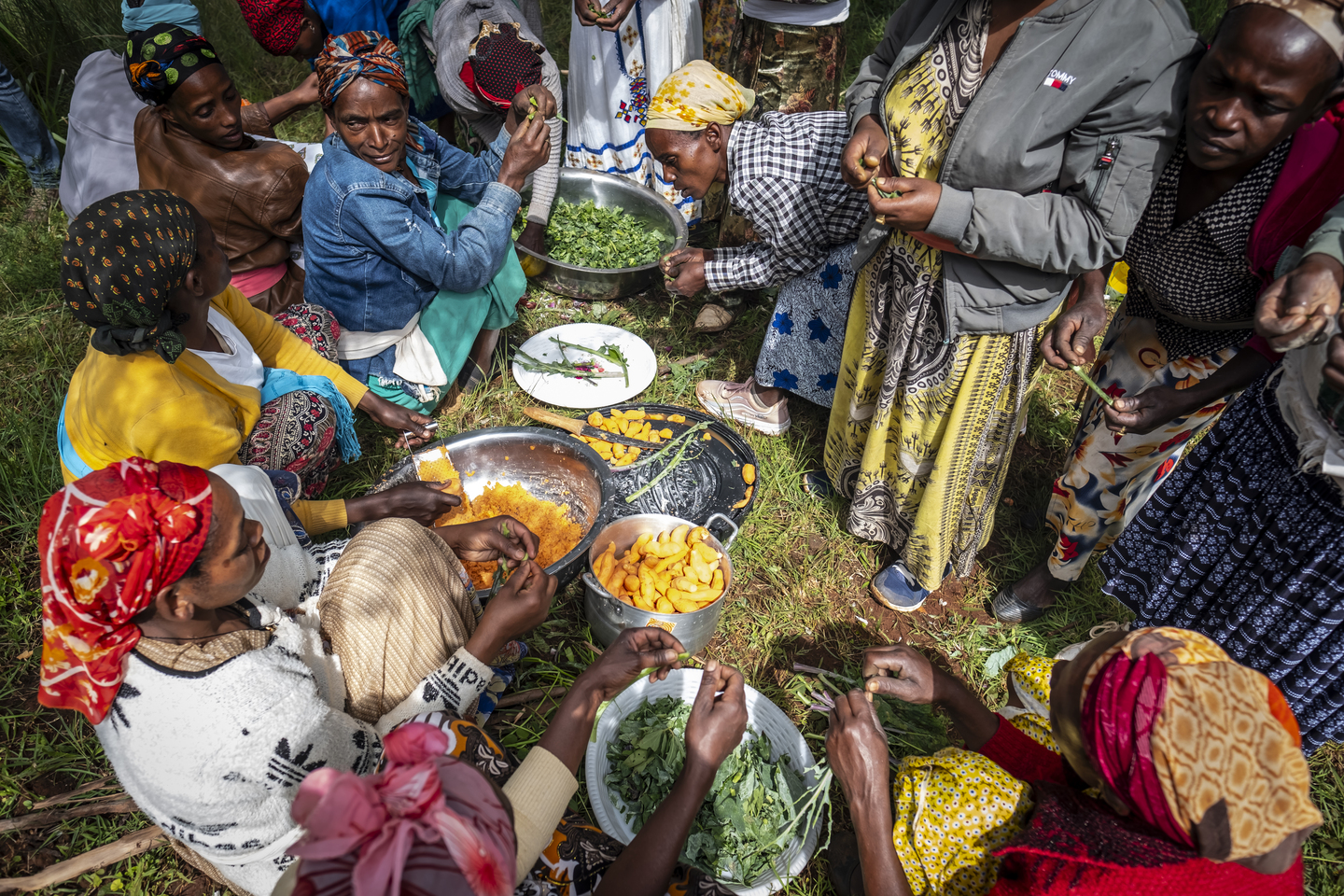 Kurs zur Gemüsezubereitung