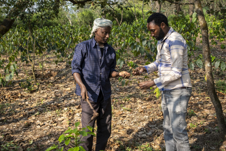 Landwirtschaftliches Training