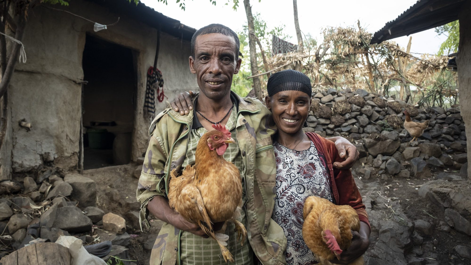 Modellfarmer Alemu und sein Frau Almaz erhielten Hühner, die ihnen täglich Eier schenken.
