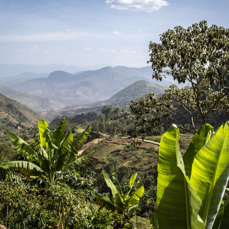 Landschaft im Projektgebiet Kawo Koysha