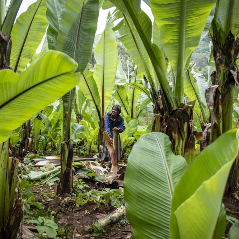 Frau bei der Feldarbeit