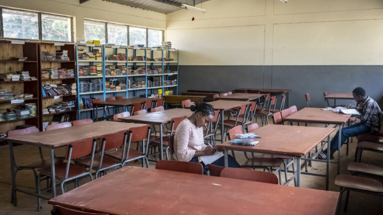 Zwei Studenten lesen an getrennten Tischen in einer Bibliothek mit Bücherregalen und leeren Stühlen.