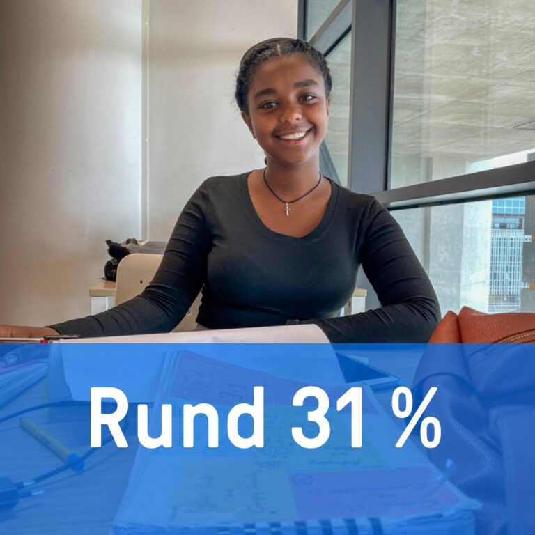 Rund 31 %
