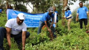 Gruppe in blauen Hemden pflanzt gemeinsam junge Bäume im Freien während einer Baumpflanzaktion.