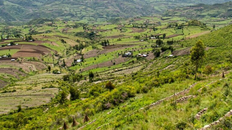 Grüne Hügel mit Bauernhöfen, Häusern und verschlungenen Wegen - eine Landschaft, die Sie mit Ihrer Spende schützen.