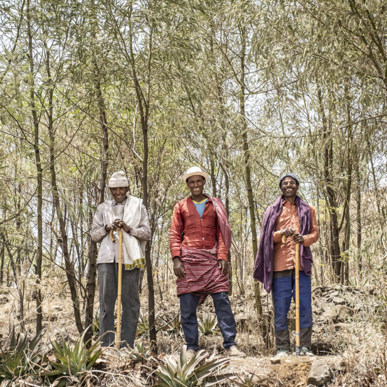 Drei Menschen mit Stöcken im Freien, lächelnd inmitten trockener Bäume und Pflanzen, die unsere Sache unterstützen.