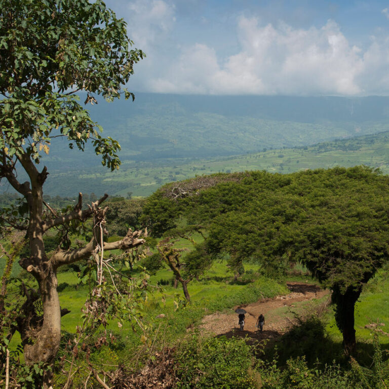 Zwei Menschen gehen auf einem unbefestigten Weg in einer grünen Hügellandschaft, der Himmel ist teilweise bewölkt und symbolisiert Hoffnung und Reise.