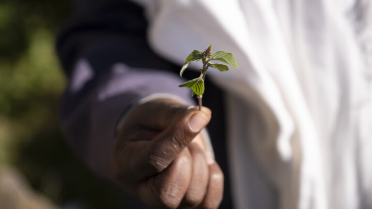 Projektgebiet Ankober