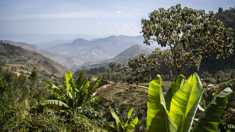 Landschaft im Projektgebiet Kawo Koysha