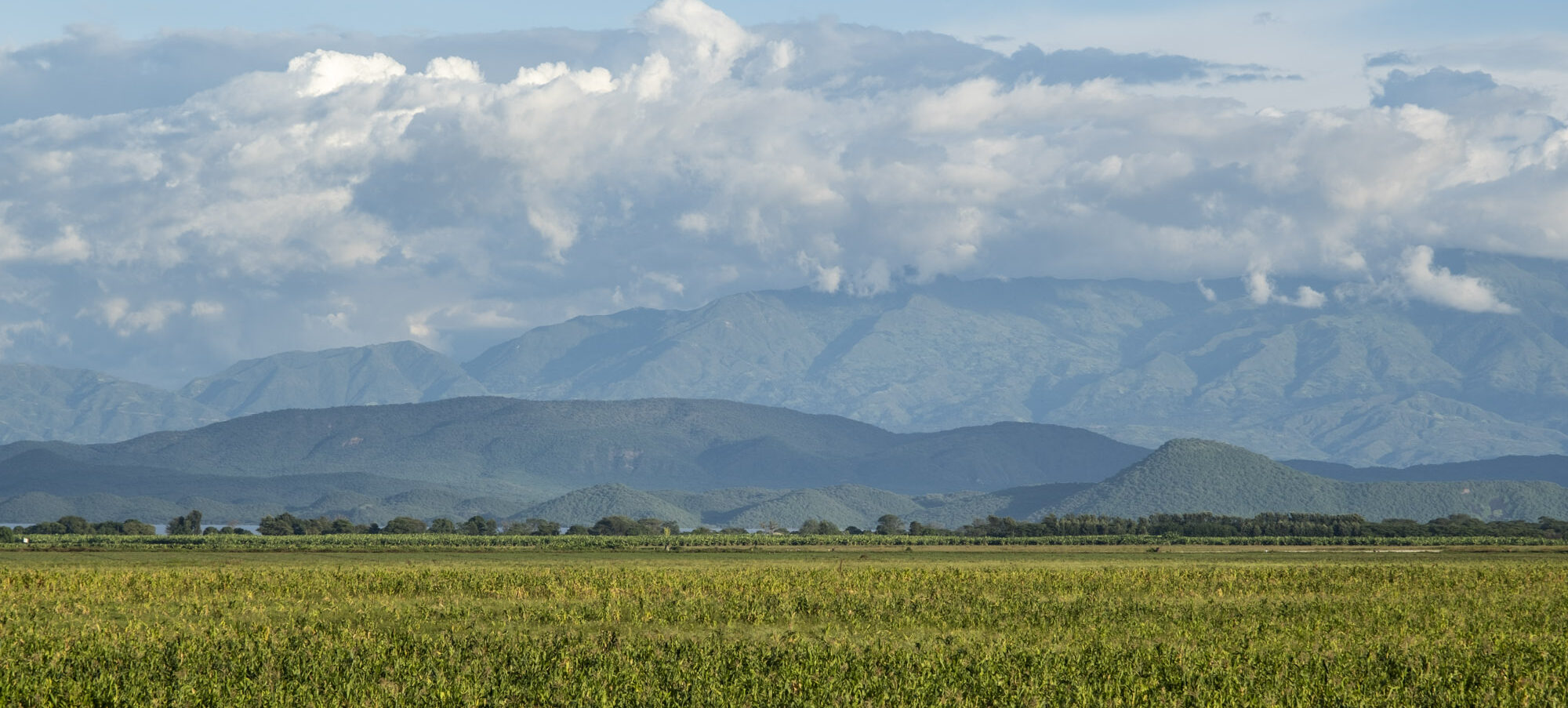 Eine weitläufige Landschaft
