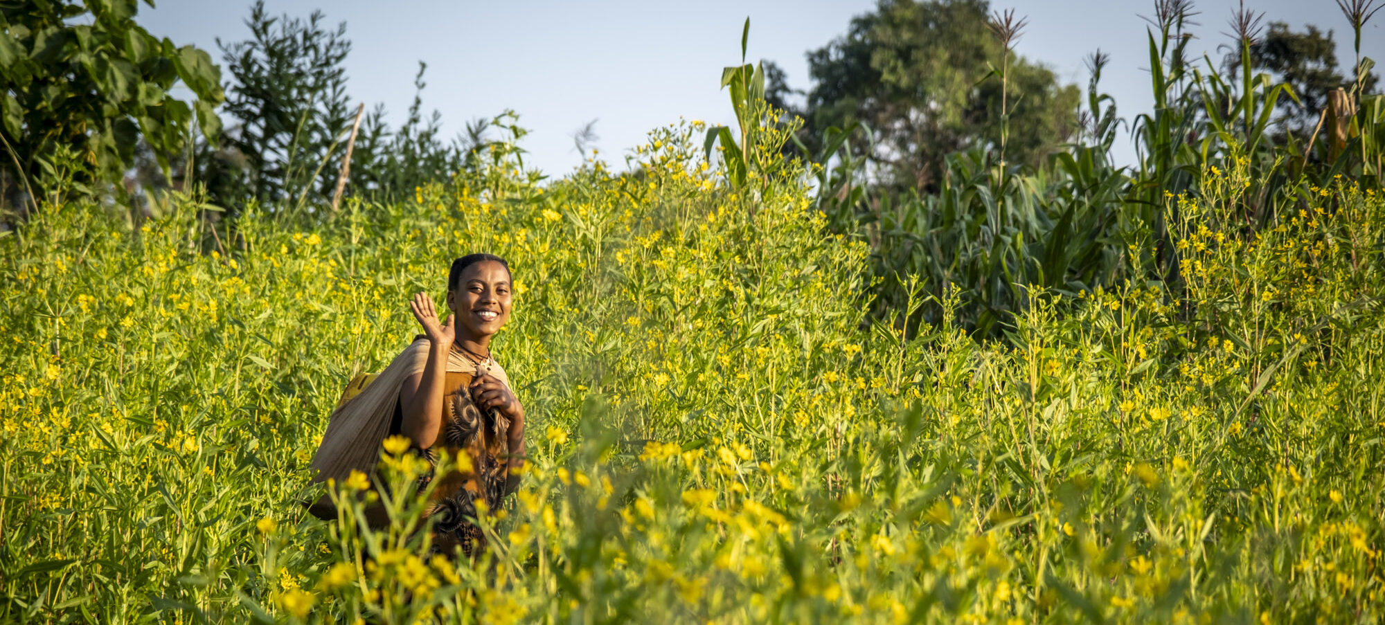 Eine Frau marschiert über ein Feld mit gelben Blumen. Sie trägt einen Wasserkanister auf dem Rücken.