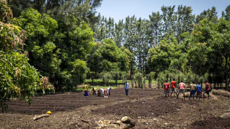 Menschen arbeiten draußen in einer Baumschule und züchten neue Setzlinge.
