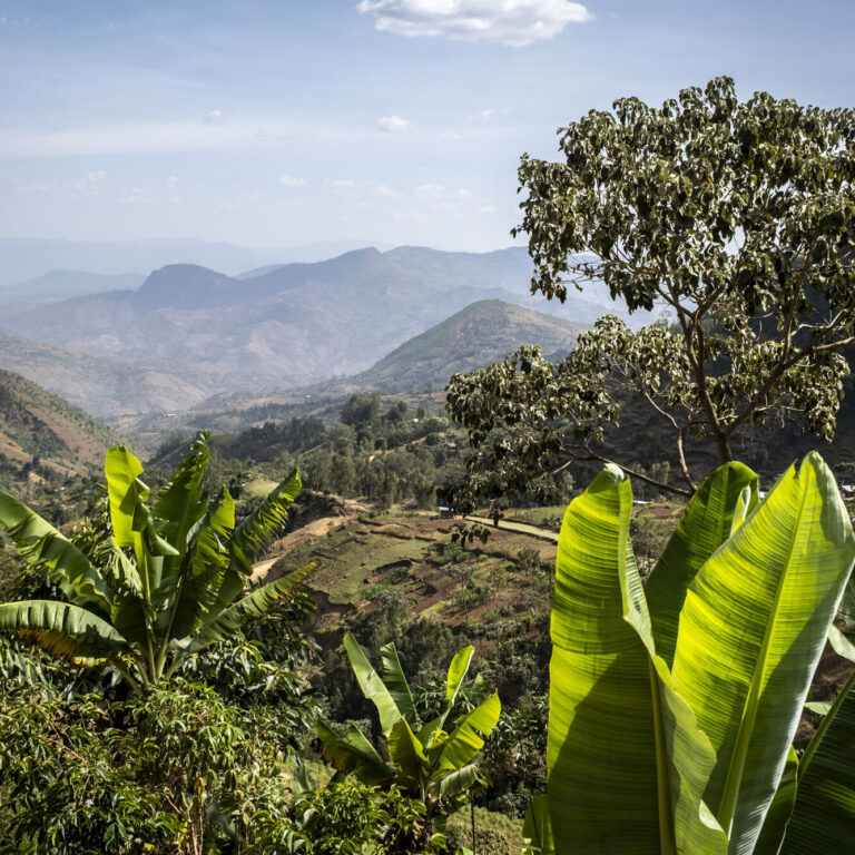 Landschaft im Projektgebiet Kawo Koysha