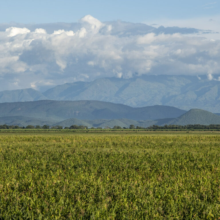 Eine weitläufige Landschaft