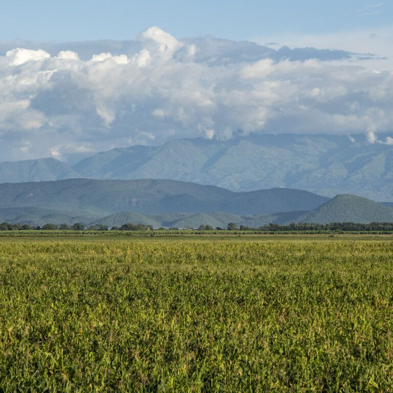 Eine weitläufige Landschaft