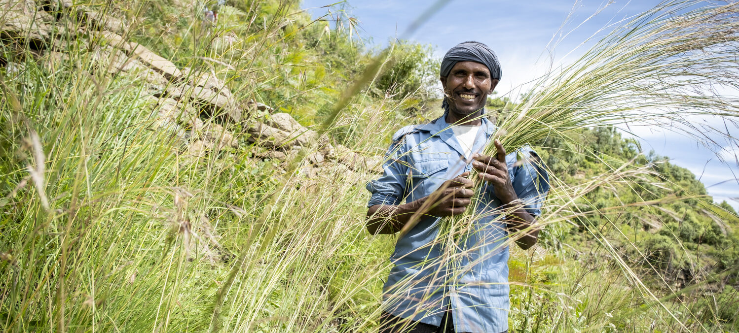 Ein Landwirt hält ein Büschel Vetivergras, das zur Befestigung von Terrassen verwendet wird und lacht.