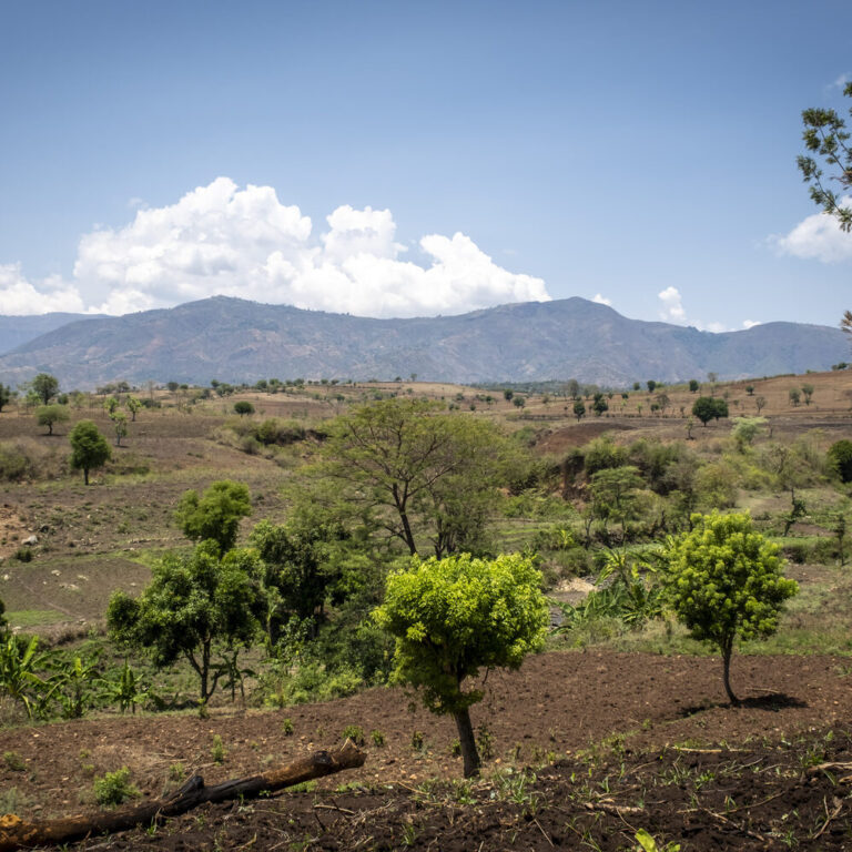 Eine Landschaft im ländlichen Äthiopien, die aufgeforstet wird.