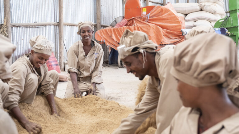 Jugendliche arbeiten am Green Innovation Centre im Projektgebiet Dano