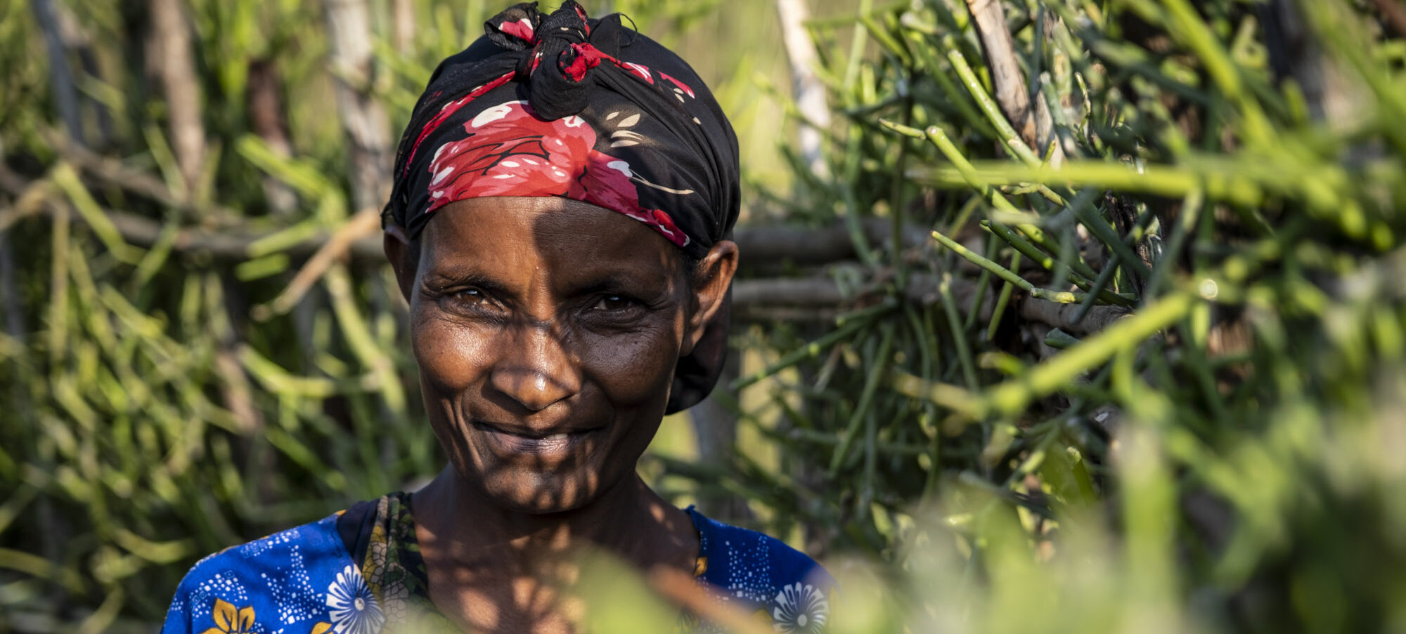 Frauenportrait einer äthiopischen Frau zwischen grünen Bäumen