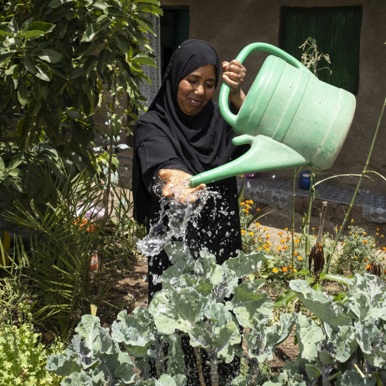 Ametelah Shifan gießt ihre Pflanzen mit einer Gieskanne in der Nachmittagssonne
