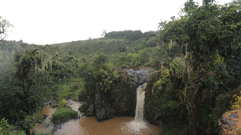 Eine grüne Landschaft mit Wasserfall und kleinem See.