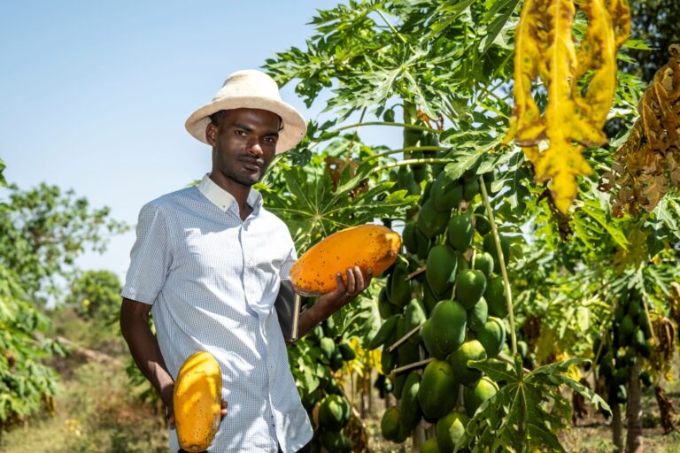 2026_MFM_Anbau-von-ObstGemuese-768x512