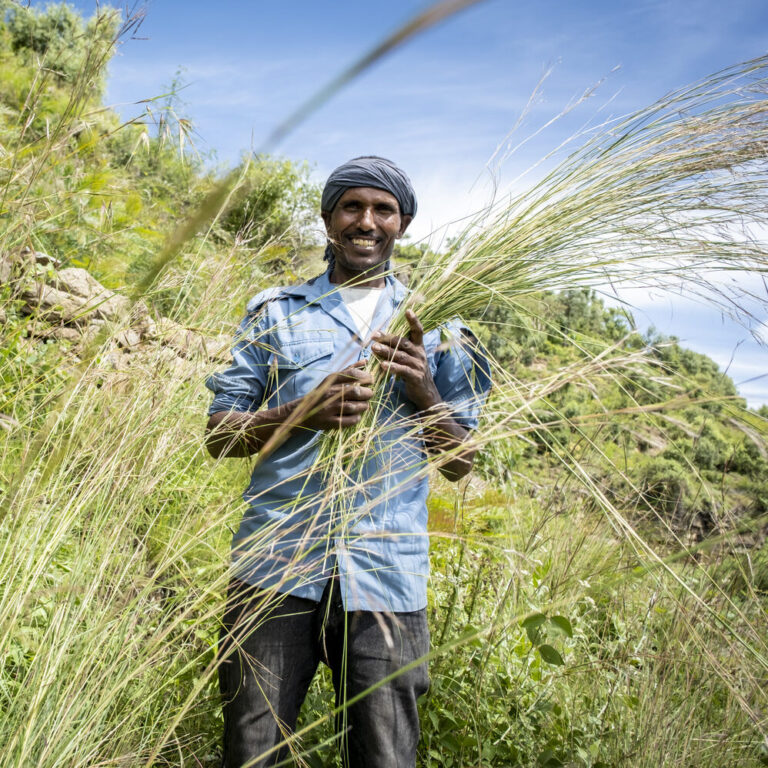 Ein Landwirt hält ein Büschel Vetivergras, das zur Befestigung von Terrassen verwendet wird und lacht.