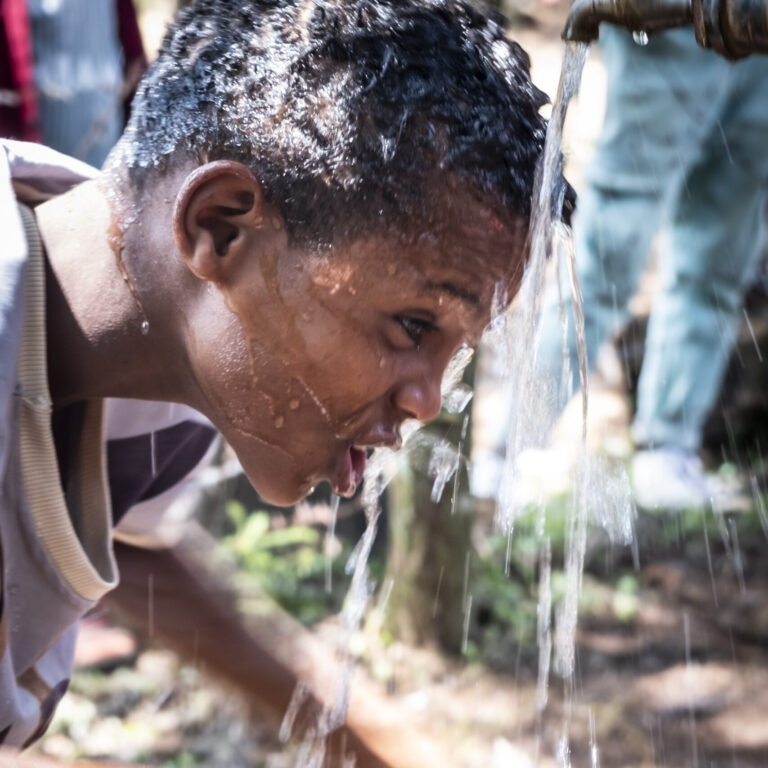 280_18063__KWI9524-aspect-ratio-1-1-768x768