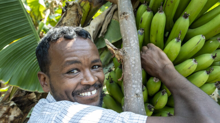 Ein Mann der in die Kamera lächelt und eine bananenstaude anfasst.