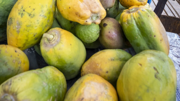 Ein Ehepaar mit ihrer Papaya-Ernte.
