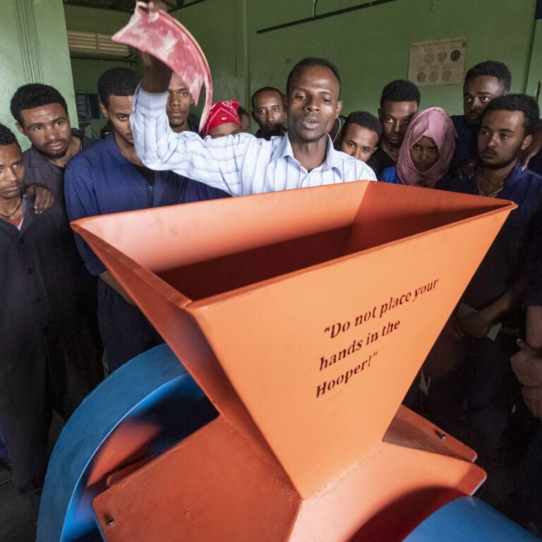 Praktischer Unterricht am ATTC in Harar